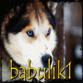 Spravce Webu
